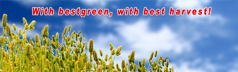 With Bestgreen, with best harvest
